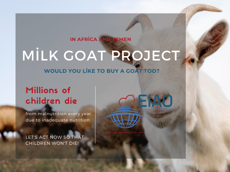 Milk Goat Project